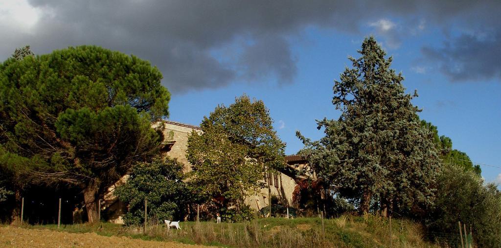 B&B Della Rosa Civitella D'Arna Ngoại thất bức ảnh