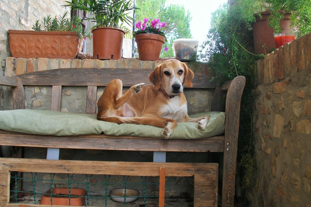 B&B Della Rosa Civitella D'Arna Ngoại thất bức ảnh
