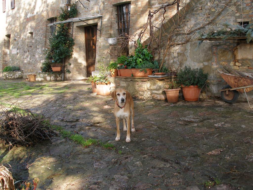 B&B Della Rosa Civitella D'Arna Ngoại thất bức ảnh