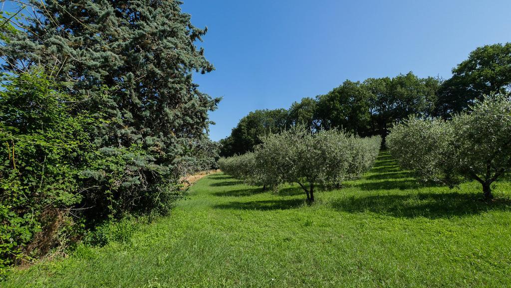 B&B Della Rosa Civitella D'Arna Ngoại thất bức ảnh